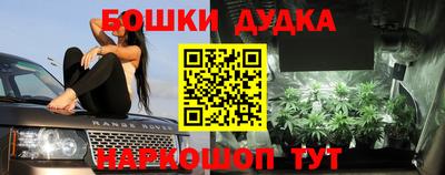 дмт Братск