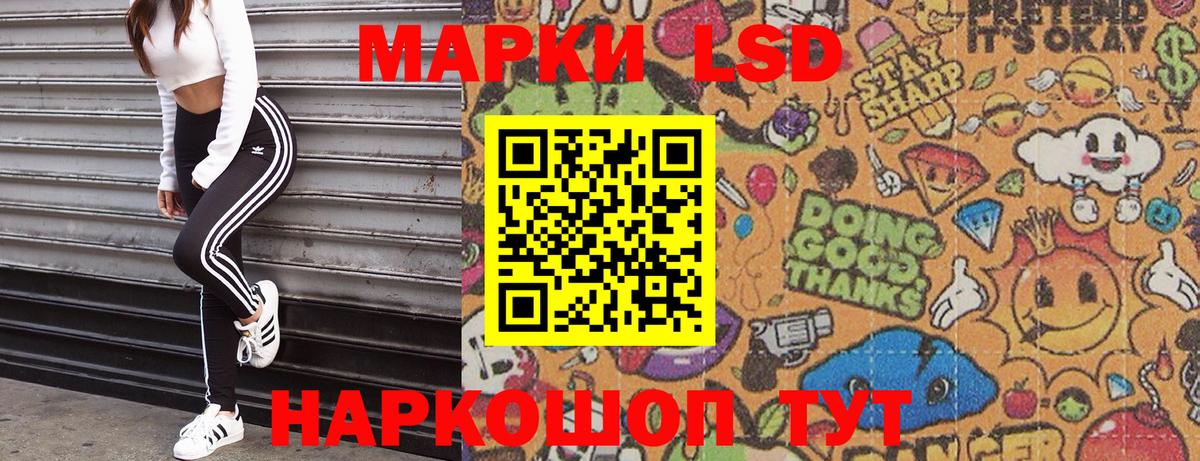 Наркотические марки 1500мкг  Наркотические марки 1500мкг  Аргун  Вход с VPN 