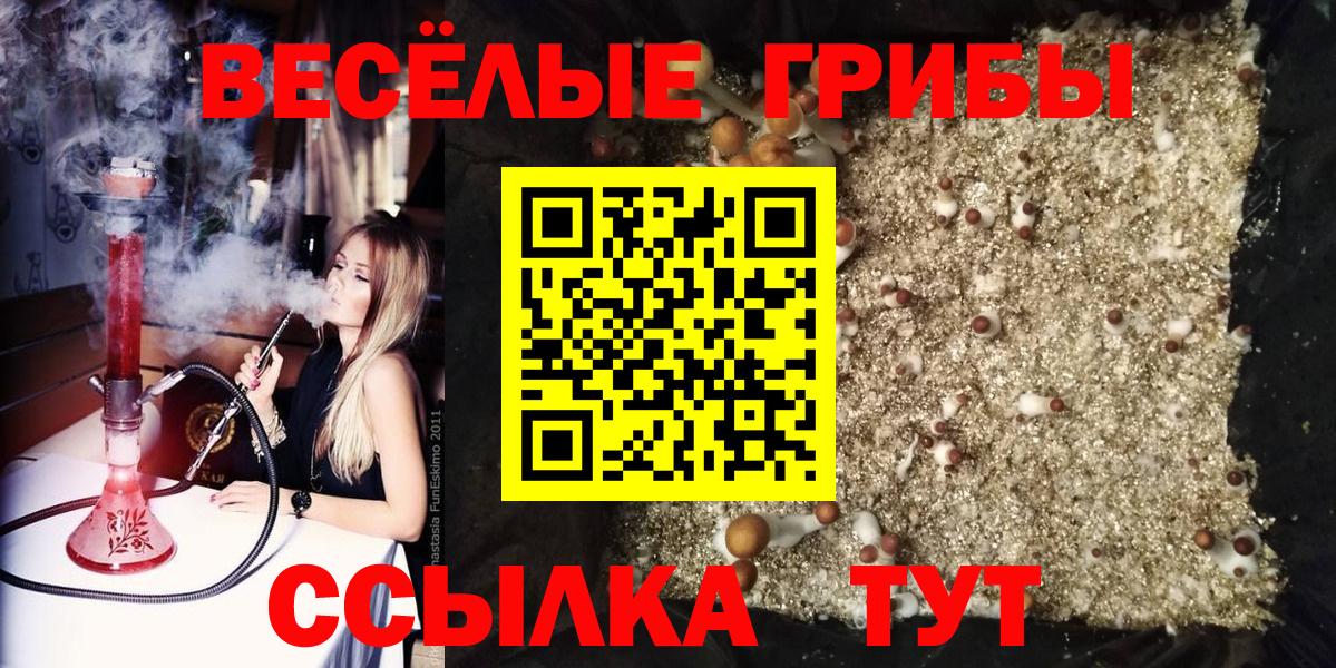 Псилоцибиновые грибы Magic Shrooms  Вход с VPN  Аргун  Галлюциногенные грибы ЛСД 