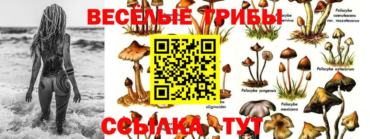 Галлюциногенные грибы ЛСД Аргун